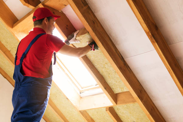 Types of Insulation We Offer in Imperial, PA